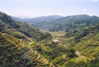 Rice terrace in The Philippines, an example of abundance