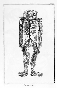 Artery system from L'Encyclopédie
