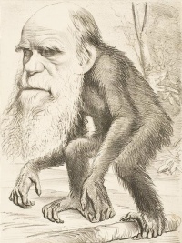 As "Darwinism" became widely accepted in the 1870s, good-natured caricatures of him with an ape or monkey body symbolised evolution.