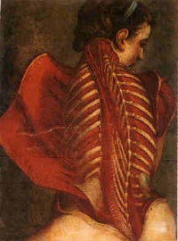 This page Carnography is part of the medicine series.Illustration: The Flayed Angel (1746), anatomical drawing by Jacques Gautier d'Agoty